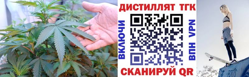 где купить наркотик  Минусинск  Дистиллят ТГК Wax 