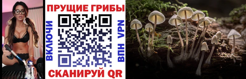 Галлюциногенные грибы ЛСД  Минусинск 
